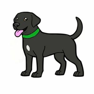 Meet your Posher, Alanna